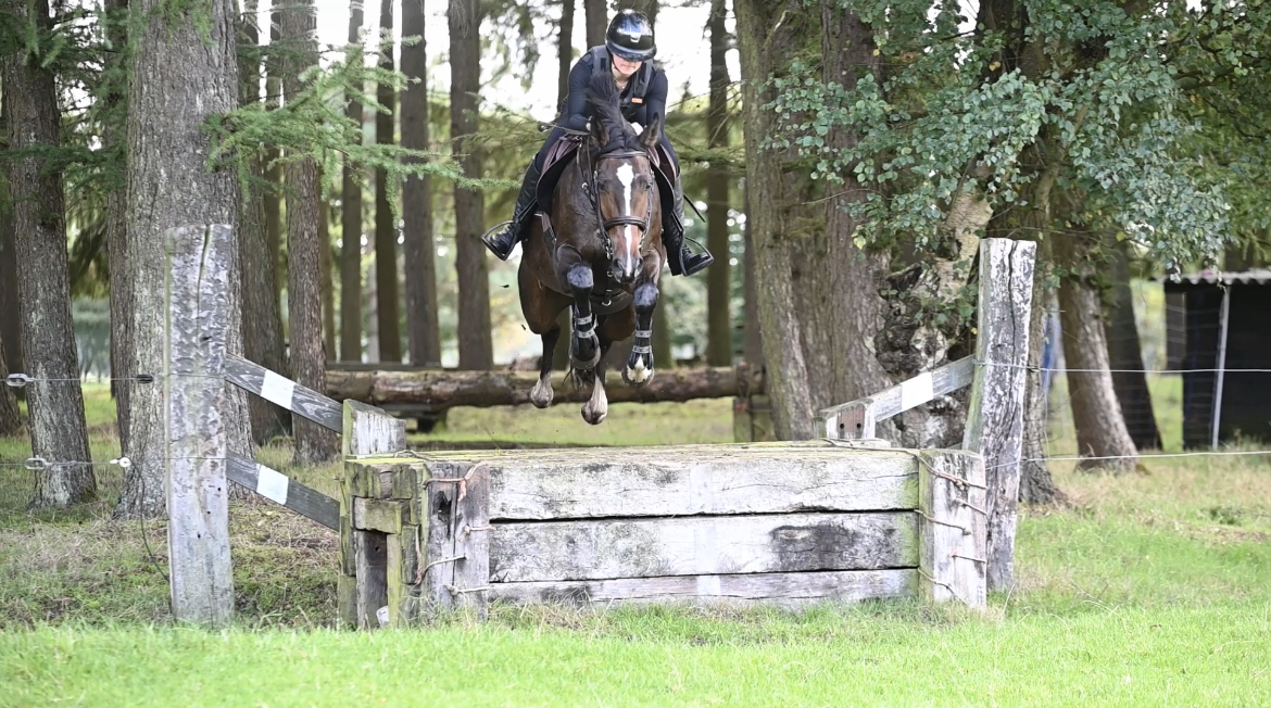 81FF9C88-EB86-449E-BE8D-AF49FF0C6199