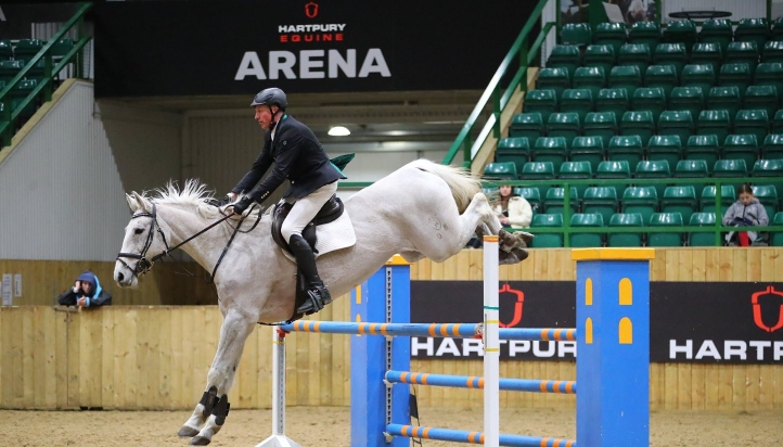 Affordable horse ready for rehoming