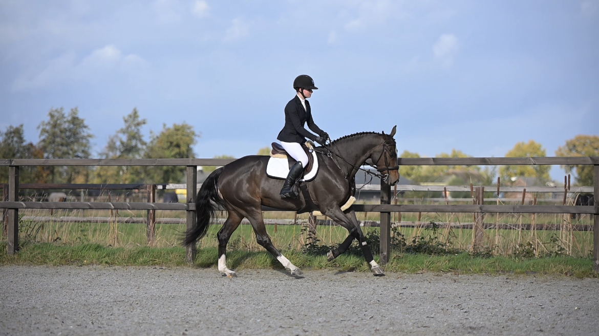 AEF02718-4719-42DE-8DA8-5DC327F4A2C8