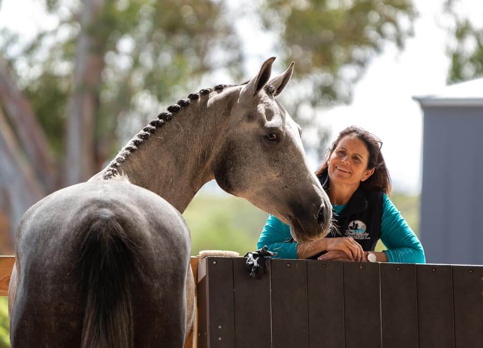 Almazaan-Stud-Australia
