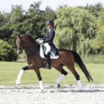 Andresen-dressage
