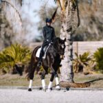 Anna-Merritt-dressage