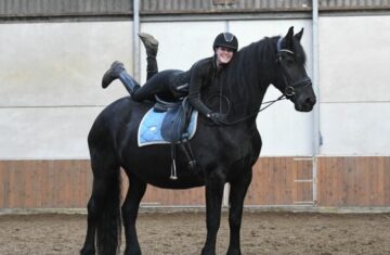 Arriya-–-Star-Friesian-Mare8