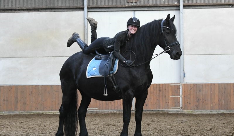 Arriya-–-Star-Friesian-Mare8