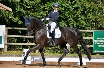 Assouline-Dressage-horses