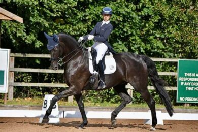 Assouline-Dressage-horses