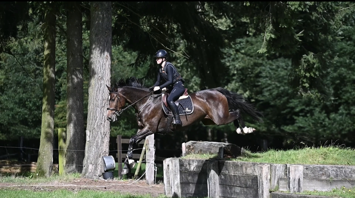 BC2FD221-853E-4990-8B05-618CF6064080