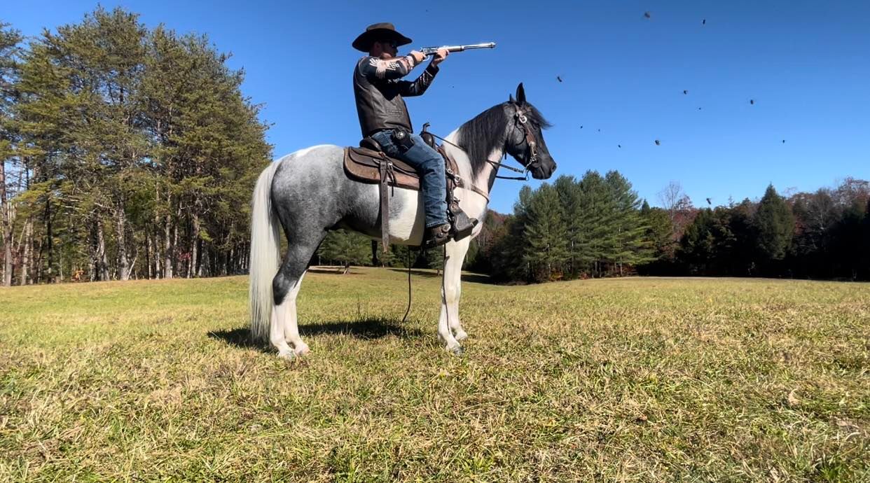 Big-Blocks-Chrome-Kentucky-Mountain-Gelding