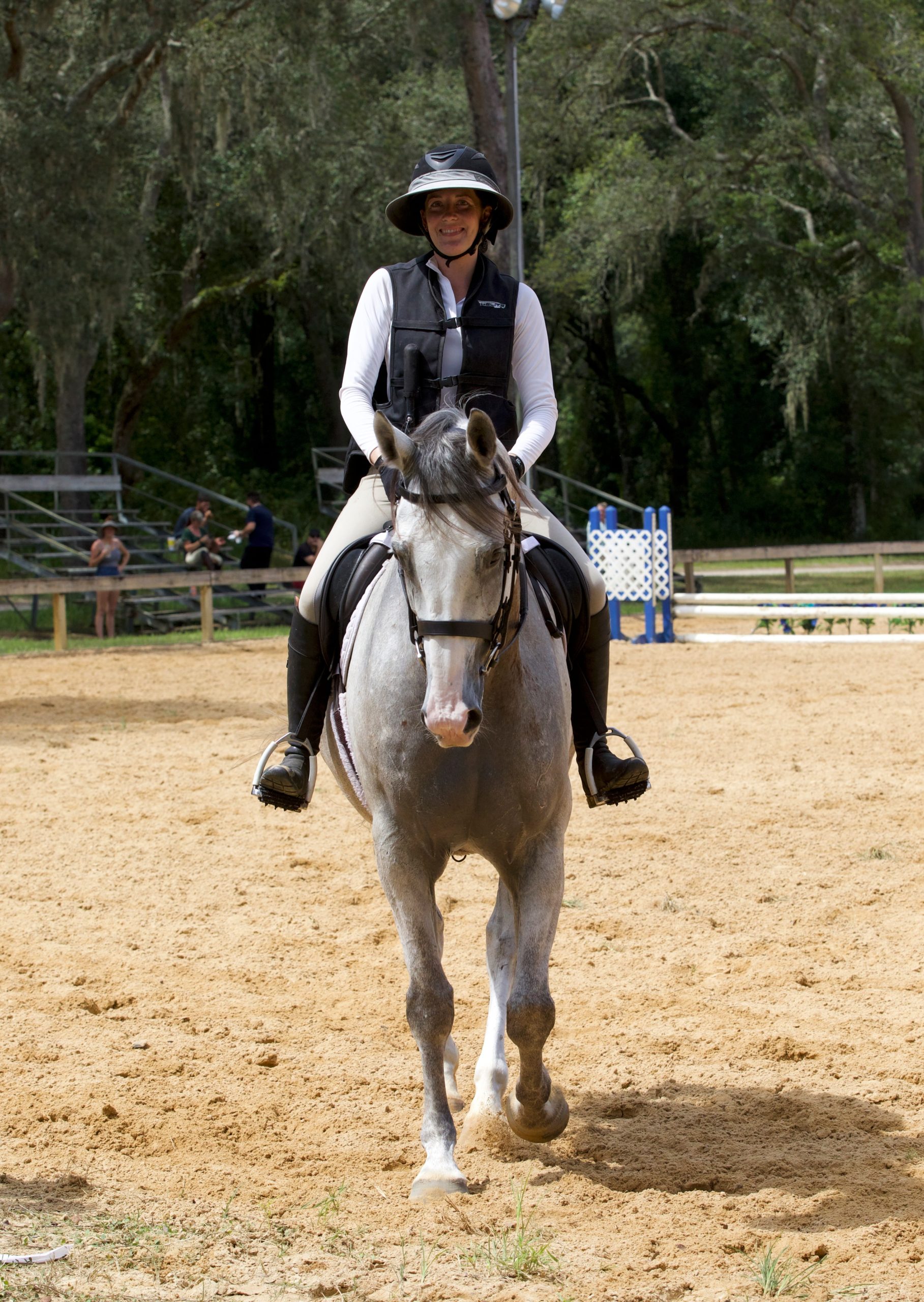 Brody-Warmblood-Gelding-1