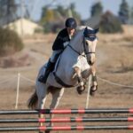 Burgeon-Sport-Horse