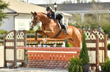 Century-Mill-Stables-USA