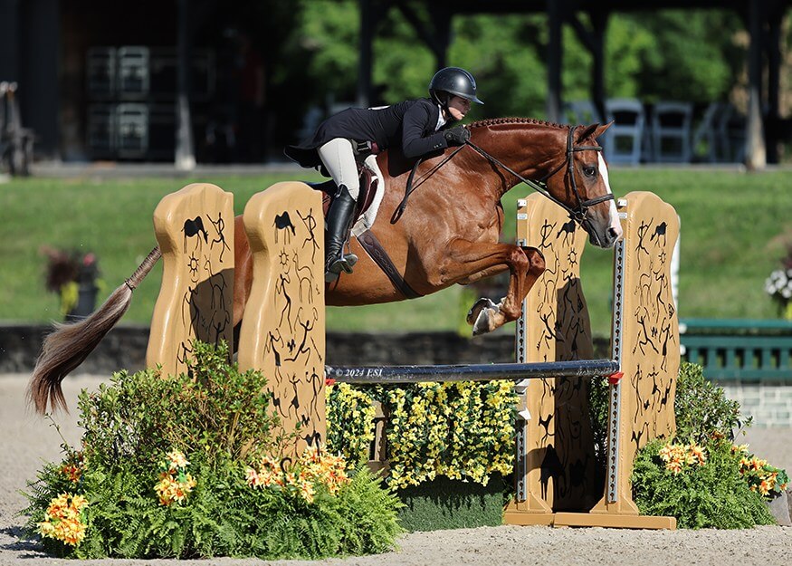 Century-Mill-Stables-USA-horses