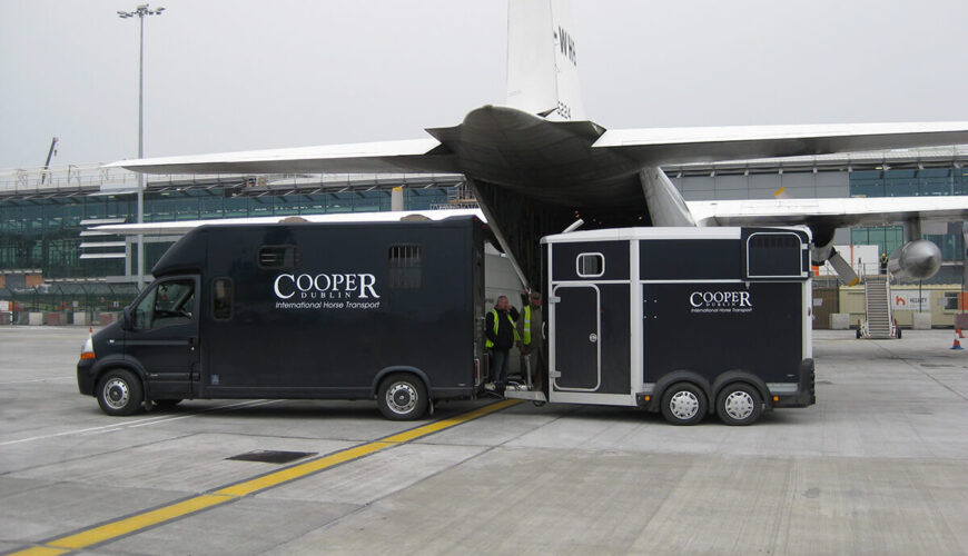 Cooper international horse transport