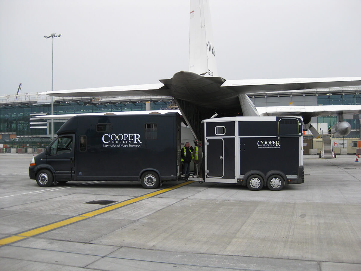 Cooper-horse-transport