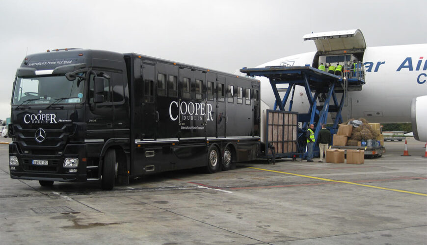 Cooper international horse transport