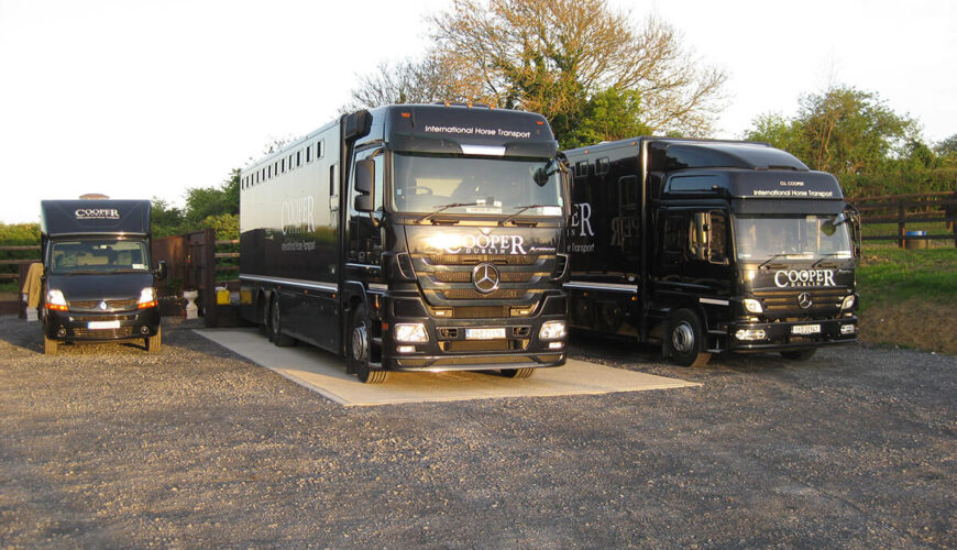 Cooper international horse transport