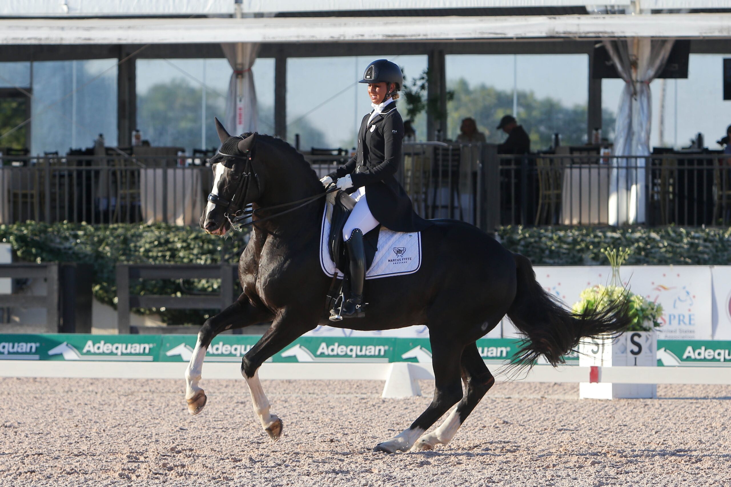 Enthusiastic Hanoverian Dressage King