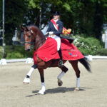 Dressage-horses-Germany