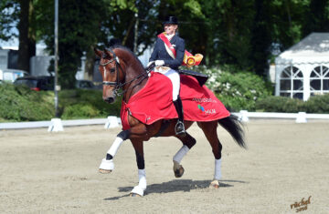 Dressage-horses-Germany