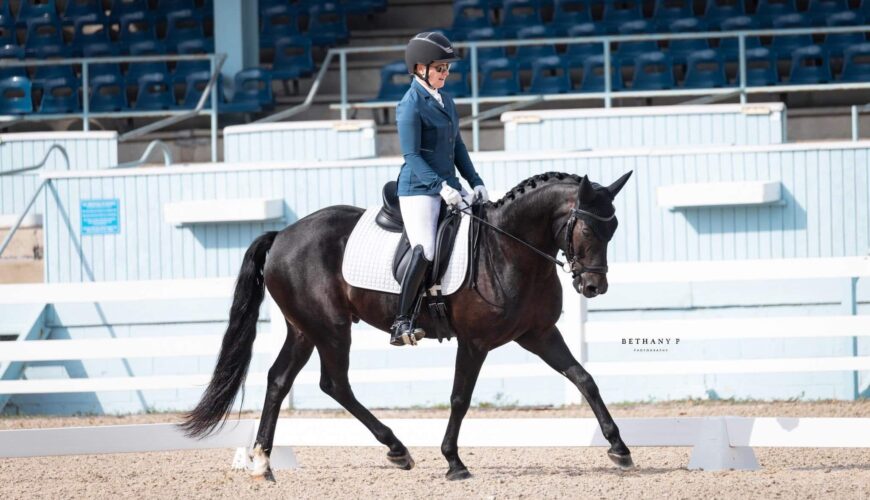 JP Dressage LLC Training