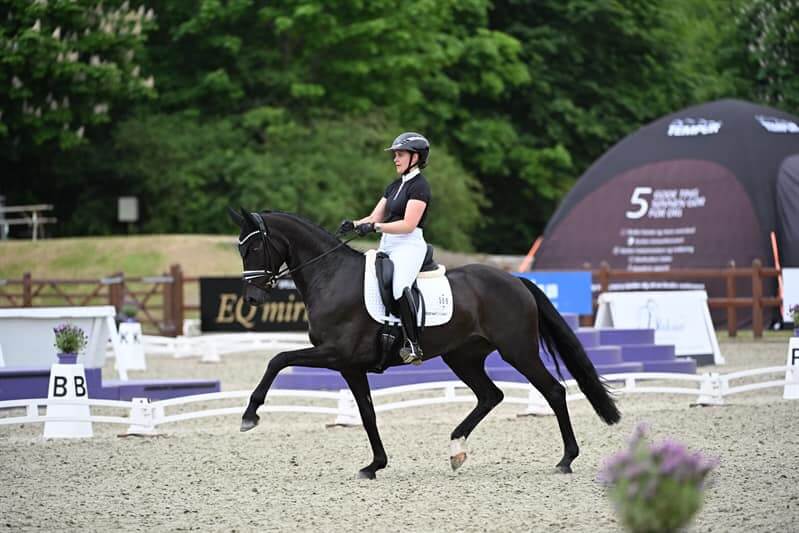Dressage