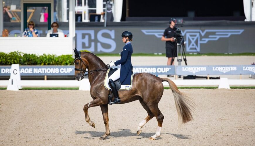 Tullstorp Dressage Stable