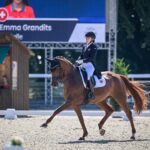 EQUUS-Finest-Sportpferde-GmbH