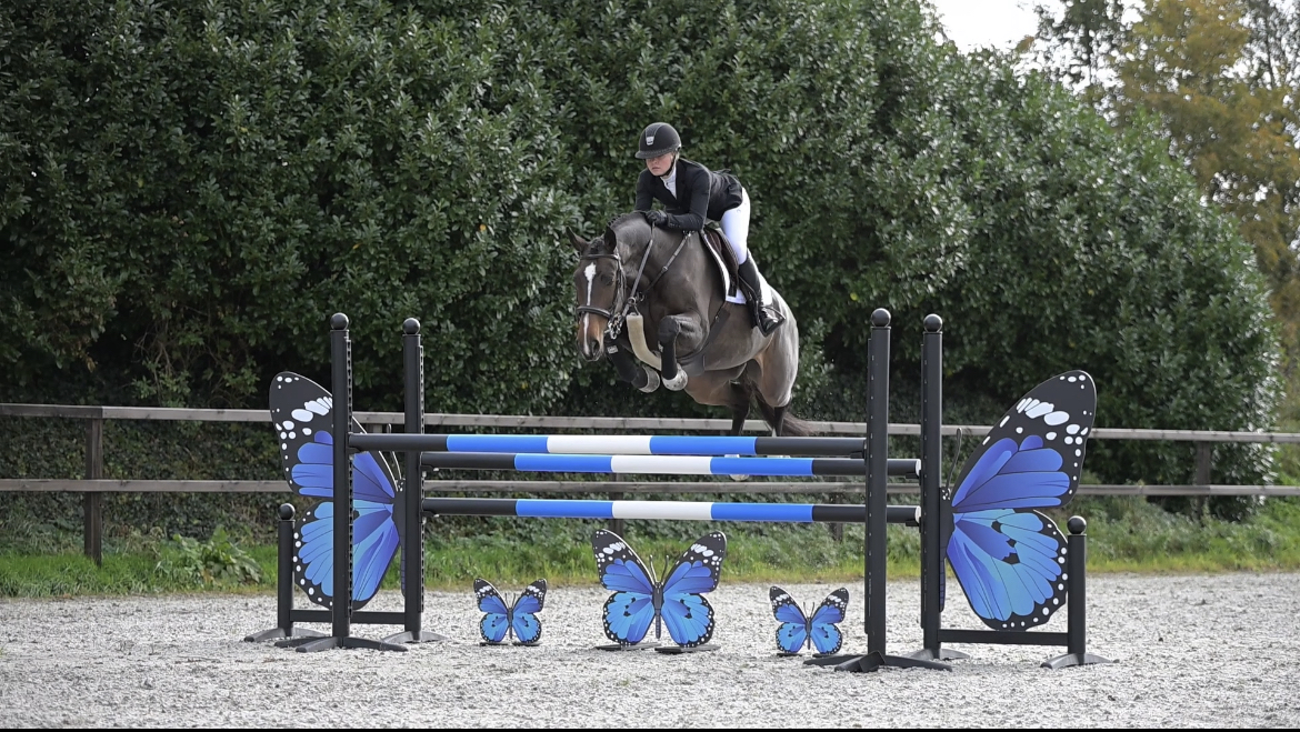 F0E03596-32BD-491B-A237-4821E65E786B