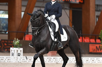 Haras-du-Feuillard-Dressage
