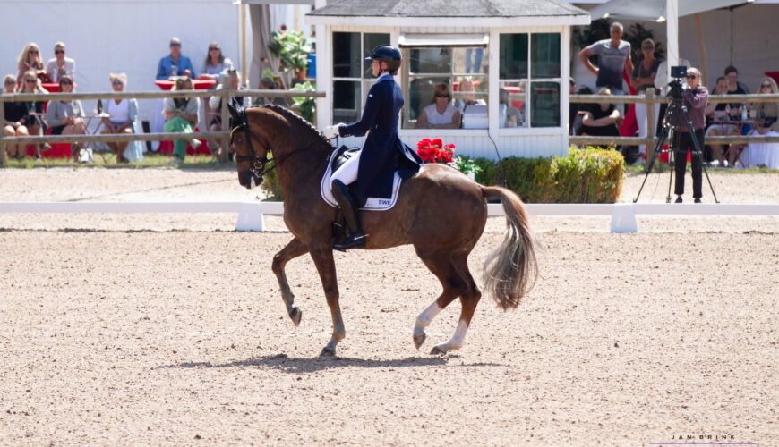 Tullstorp Dressage Stable