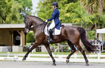 Heidi-Dressage