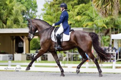 Heidi-Dressage