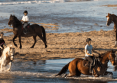 Horse riding holidays in Ireland