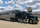 Elite horse transport