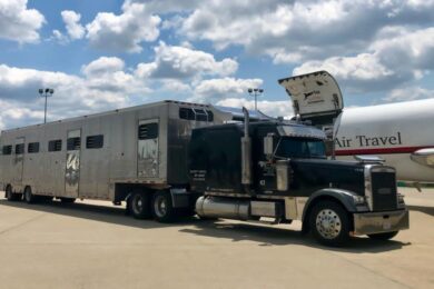 Horse-transport-USA