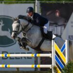 Horses-for-sale-Belgium