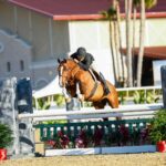 Hyperion-Stud-horse-on-sale-global