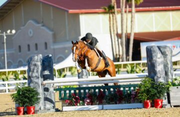 Hyperion-Stud-horse-on-sale-global