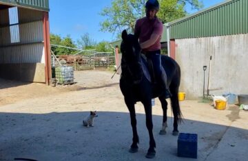 IMG-20250603-WA0012-1