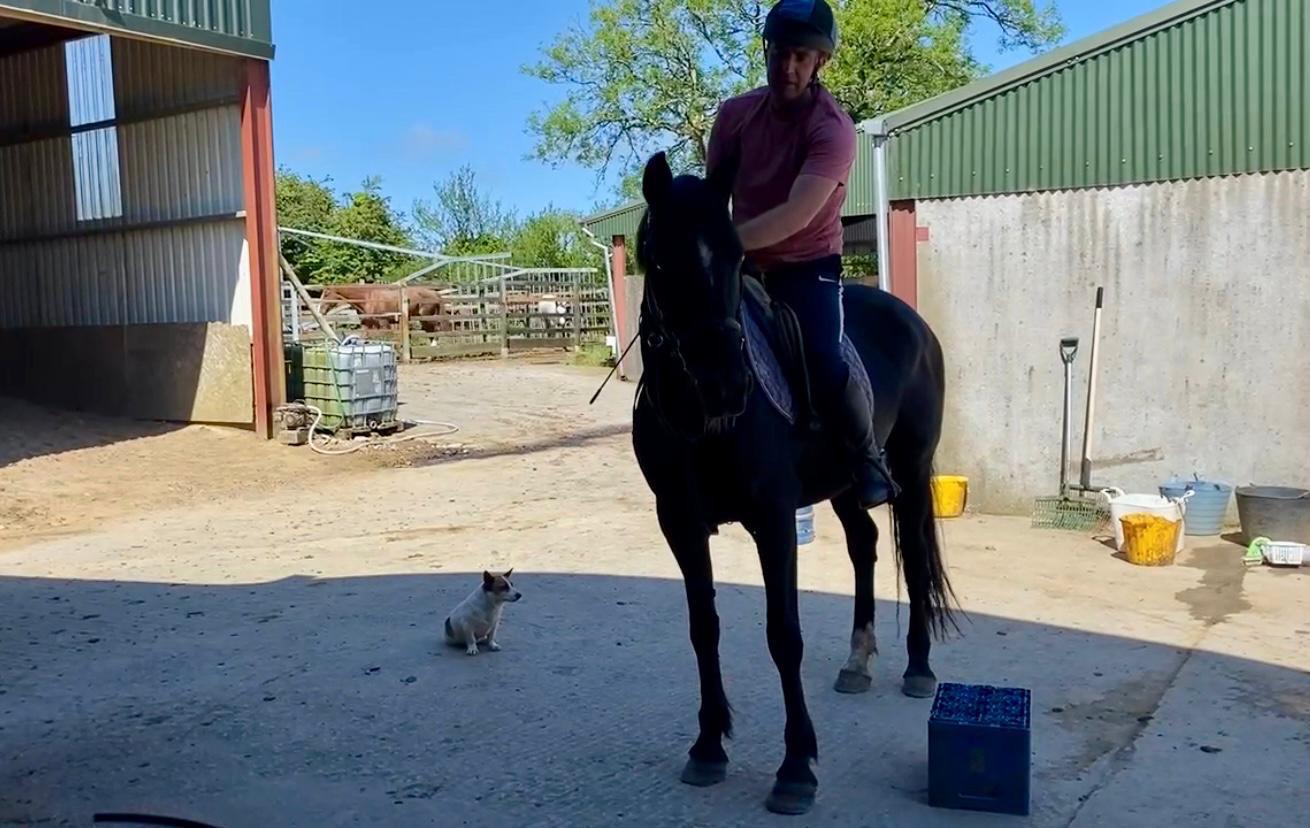 IMG-20250603-WA0012-1