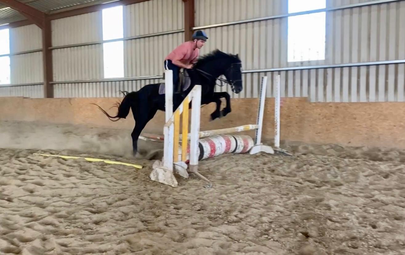 IMG-20250603-WA0020-2