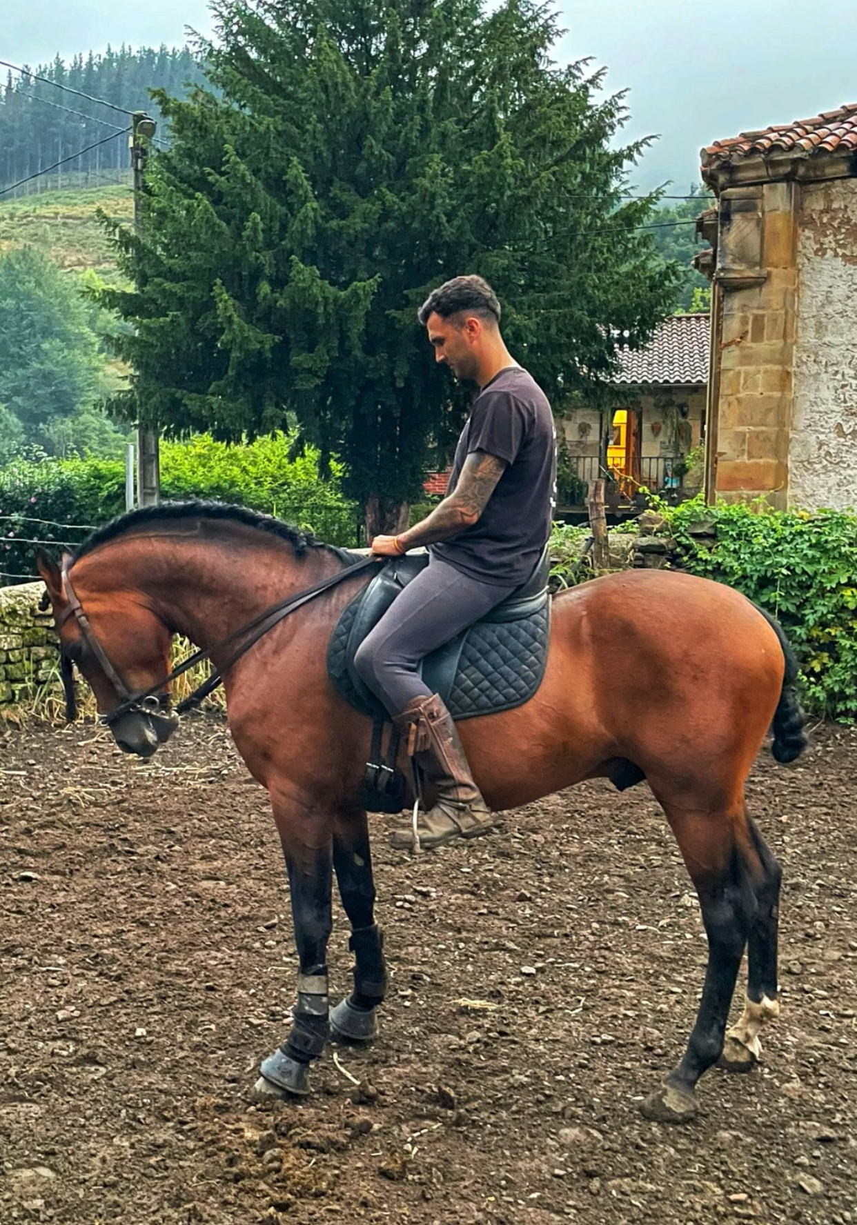 Caballo Castaño