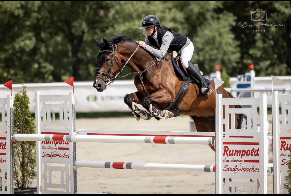 Top junior horse