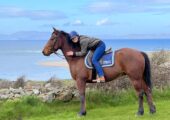 Horse riding holidays in Ireland