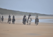 Horse riding holidays in Ireland