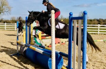 Irish-Sport-horses