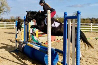 Irish-Sport-horses