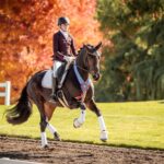 Janicki-Dressage-