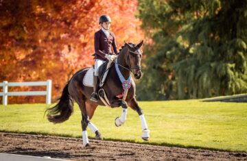 Janicki-Dressage-