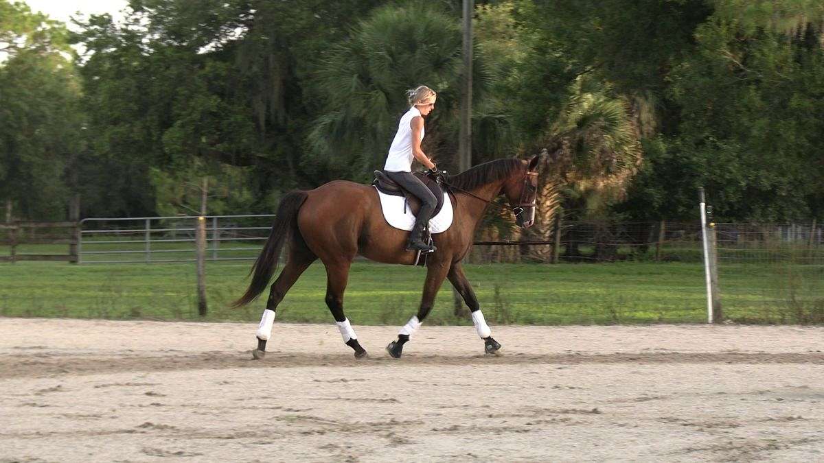Jordan ✨- “Cool as you Like” – 10 year old, 16.2